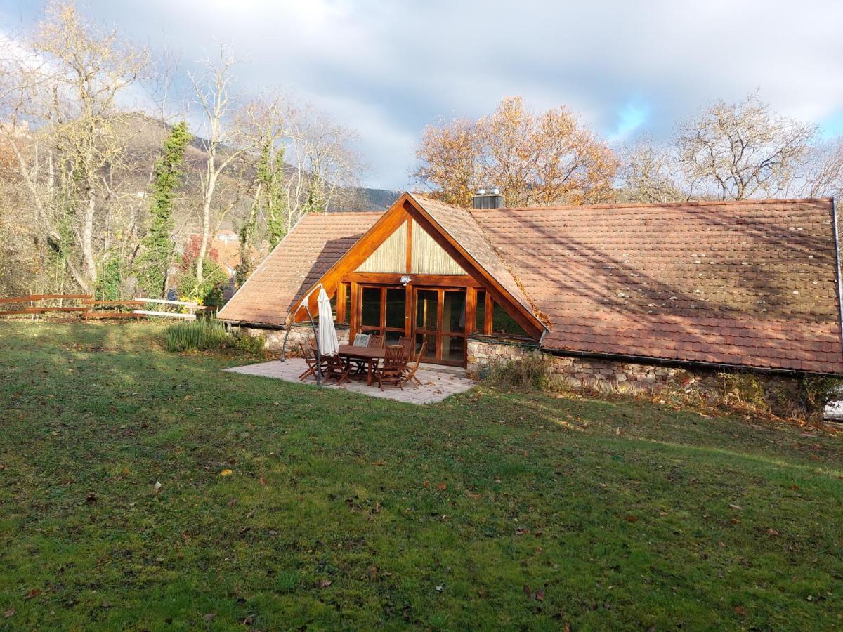La Canopee Alsacienne - Magnifique Maison A Ribeauville Exterior foto