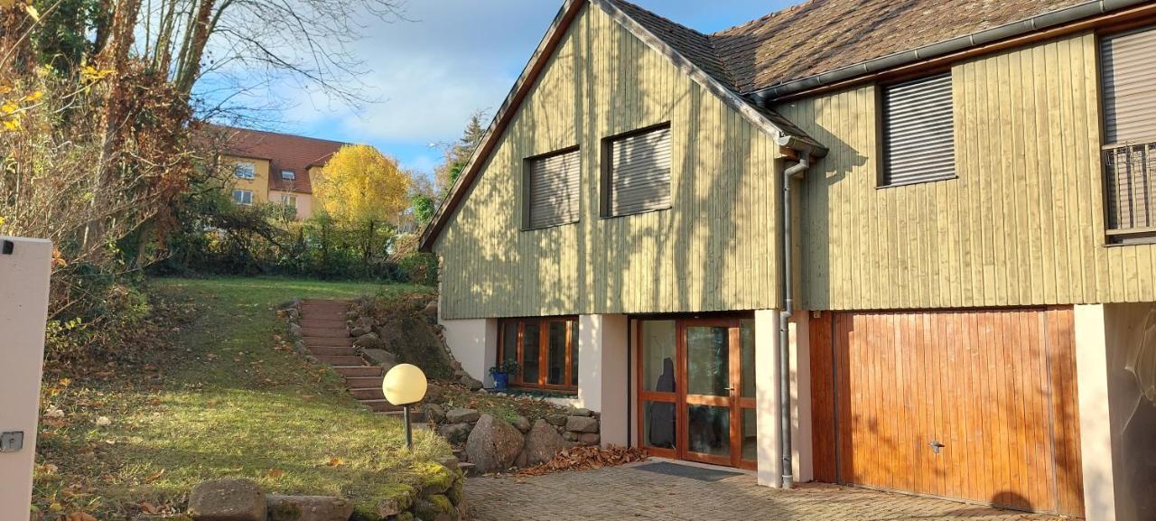 La Canopee Alsacienne - Magnifique Maison A Ribeauville Exterior foto